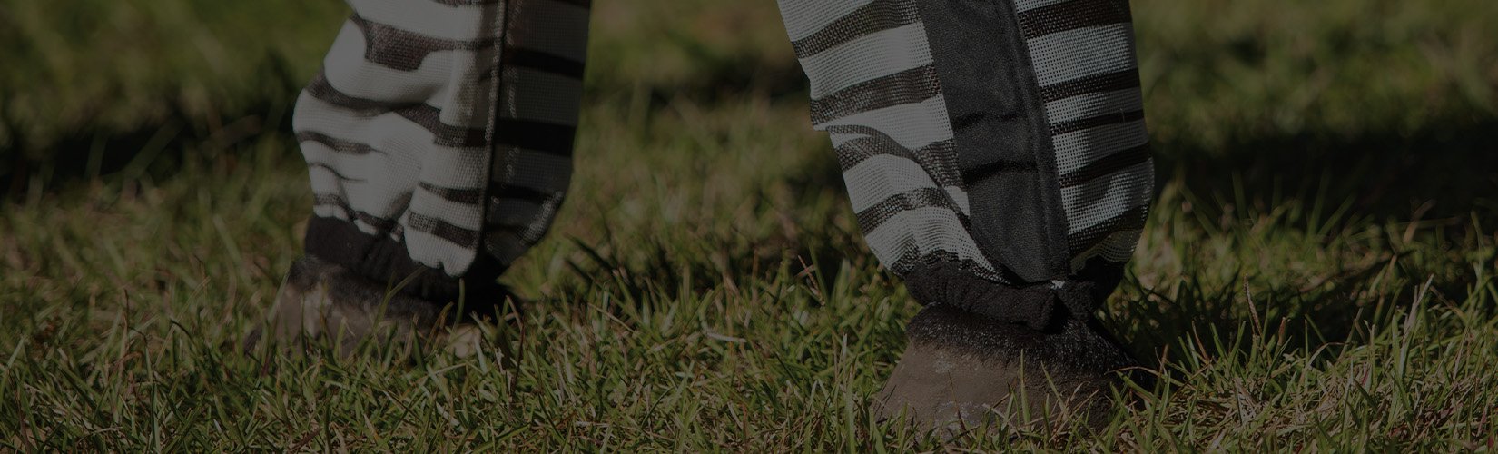 Everything You Need to Know About Horse Fly Boots