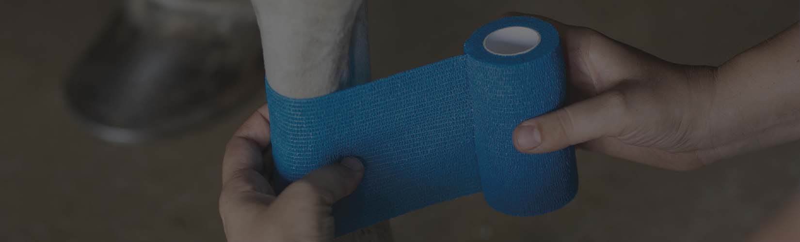 Choosing the Best Leg Protection for Your Horse