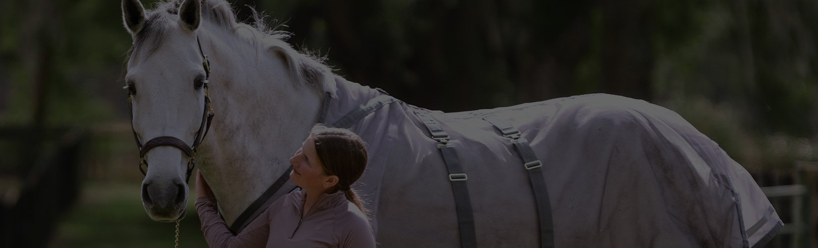 The Top 7 Fly Sheets for Horses