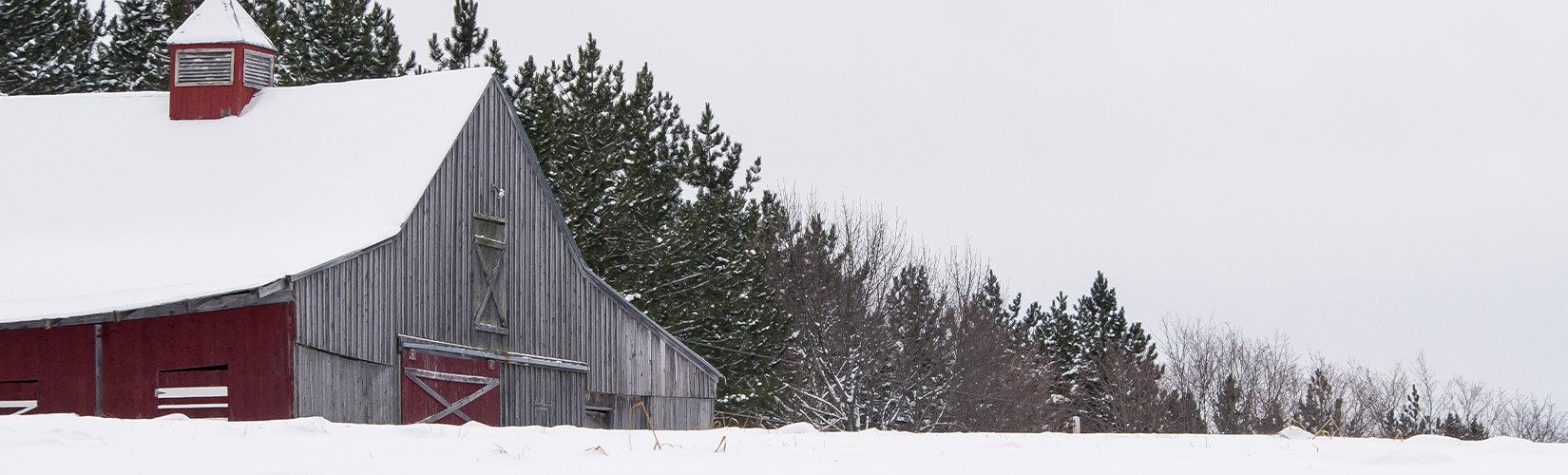 Prepare Your Horse Barn for Winter
