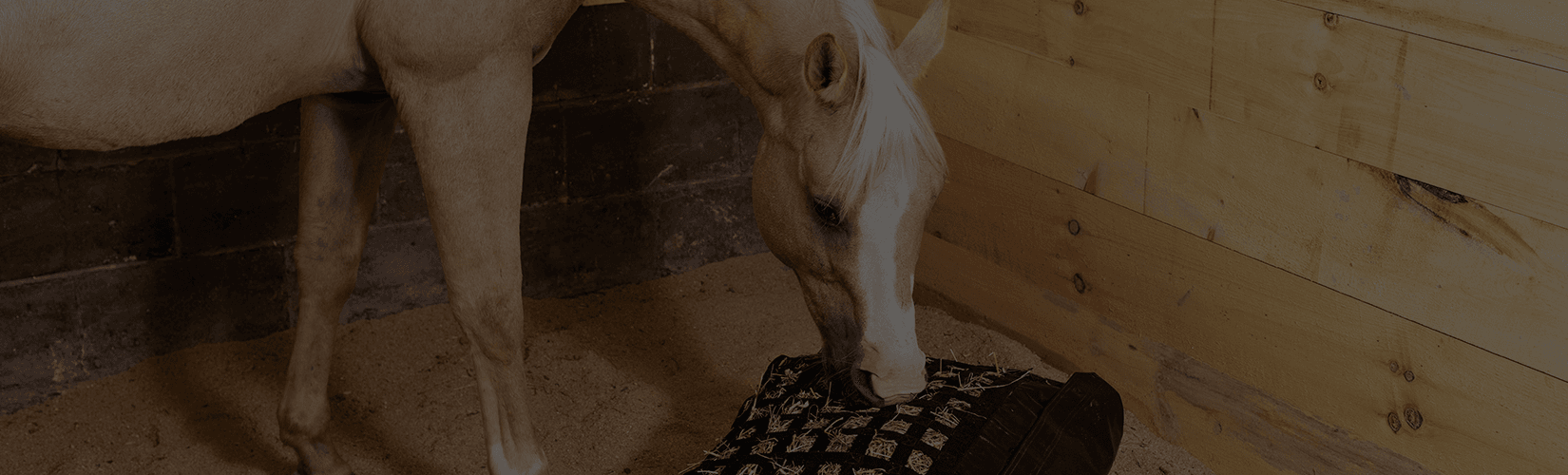 The Amazing Benefits of Slow Feeders for Horses