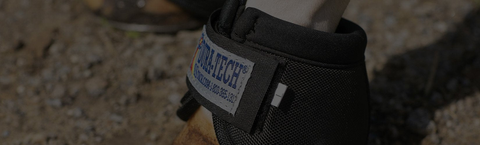 Top 10 Best Bell Boots for Horses