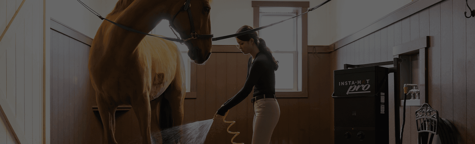 Guide to Bathing Your Horse in the Winter: Bathing Solutions for a Happy and Healthy Horse