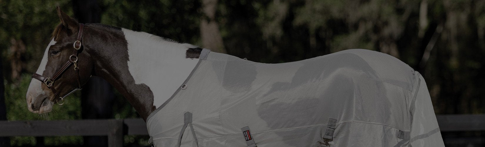 The Best Horse Fly Sheets for UV and Sun Protection
