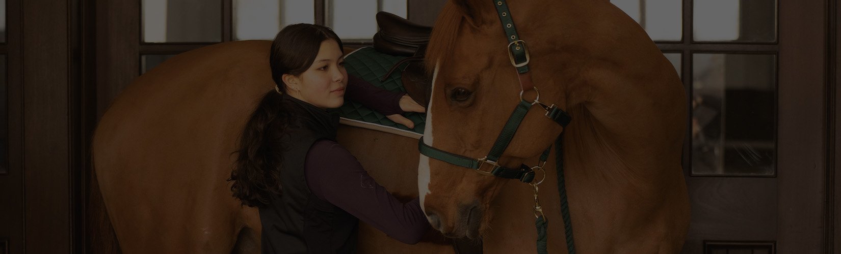 What You Need for a Horse - Your First Horse Equipment Checklist