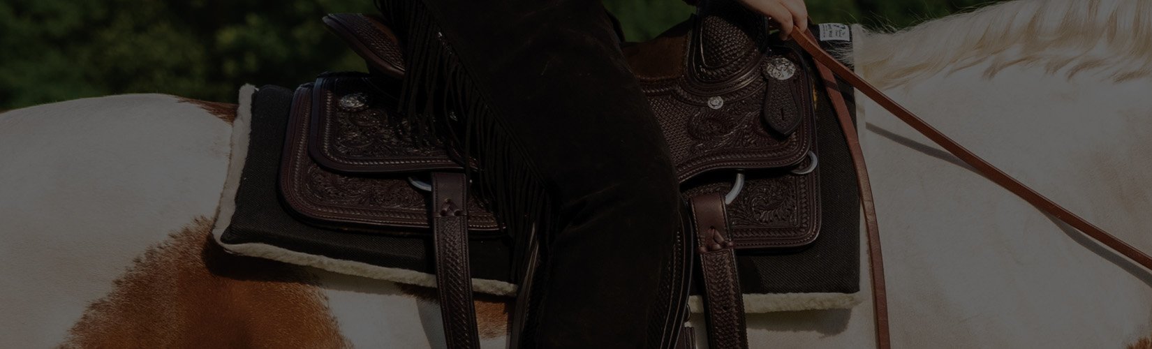 The Top 12 Best Western Saddle Pads