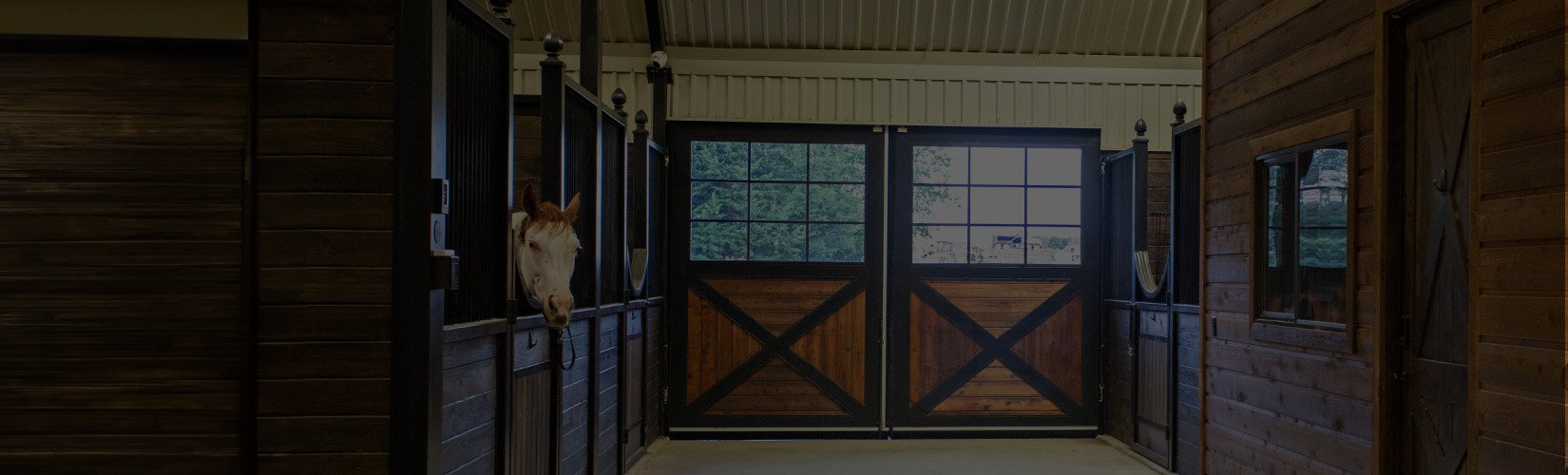 10 Best Stable Supplies for Your Horse Business