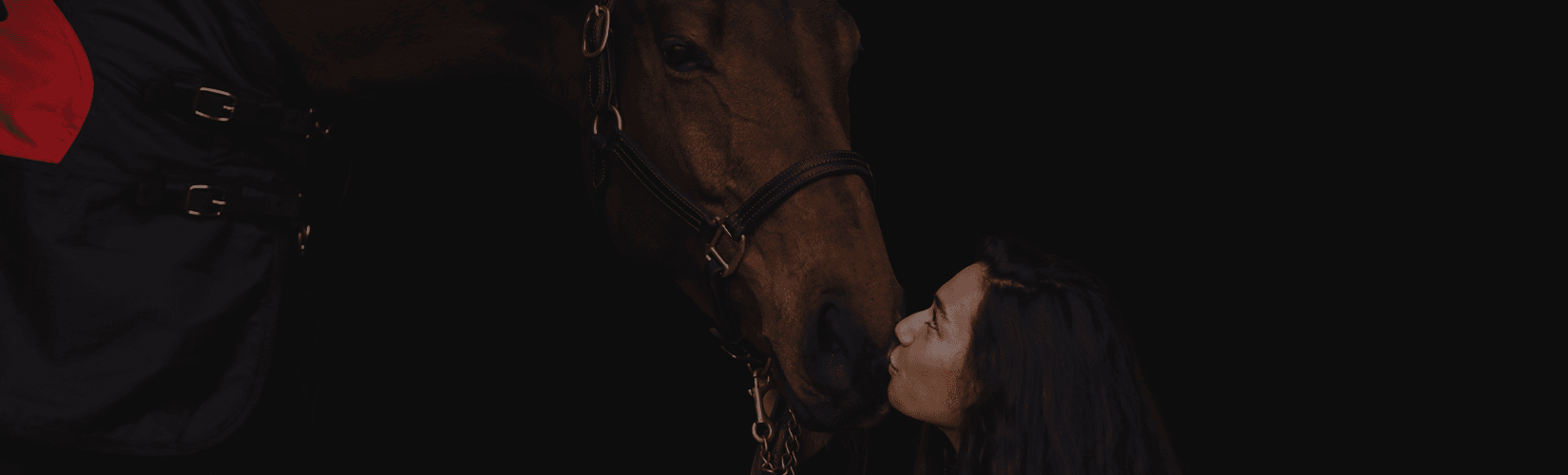 9 Best Gifts for Horse Lovers: Fun and Practical Equestrian Gift Ideas