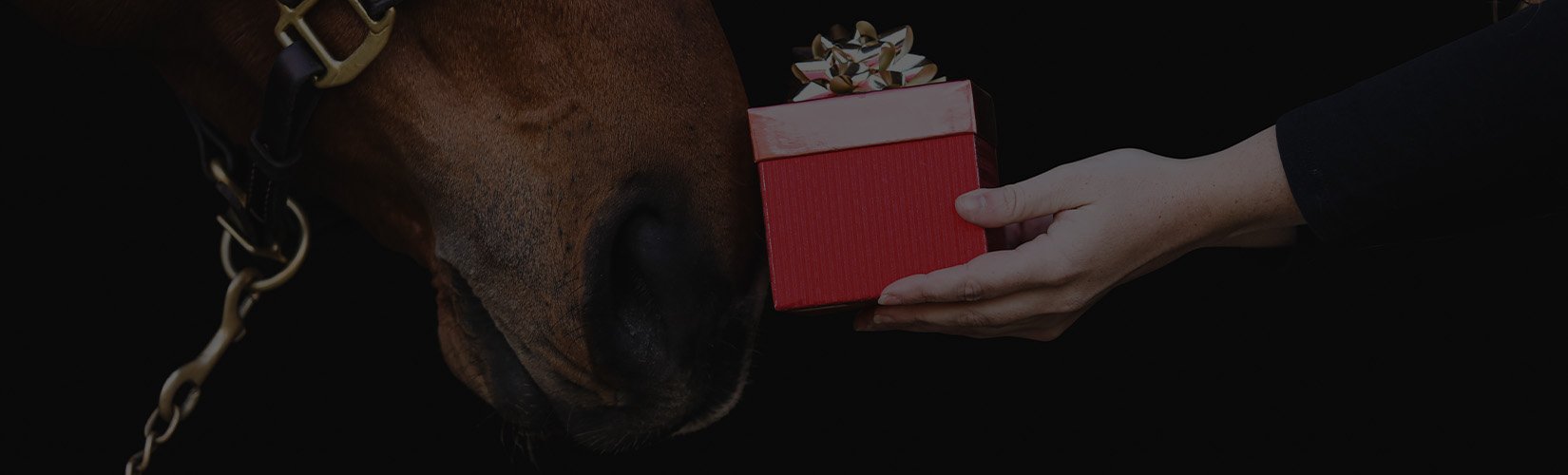 Practical Gifts for Horse Owners: Useful and Barn-Tested Ideas