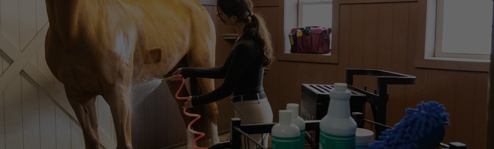 Top 9 Must-Have Supplies You Need in Your Horse Wash Stall