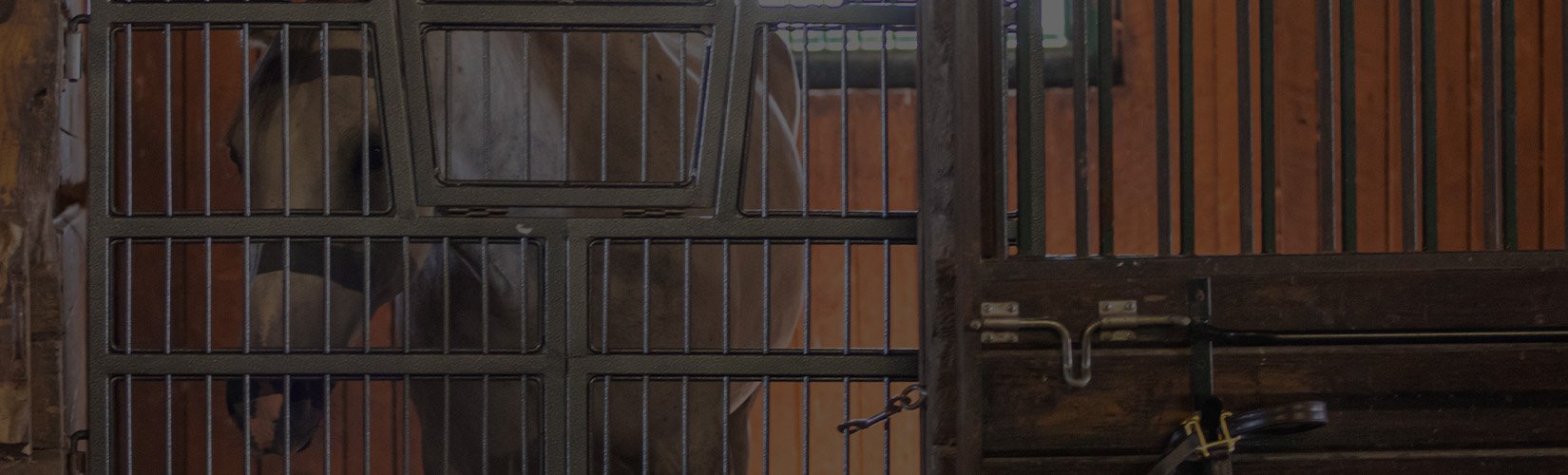 Choosing the Perfect Stall Front Doors for Your Horse Barn