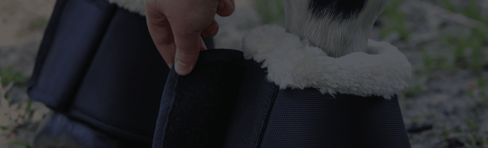 How to Put Bell Boots on a Horse