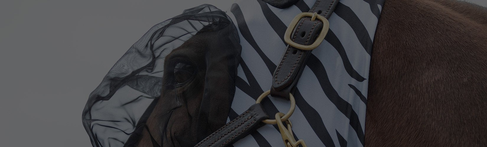 The 6 Best Fly Masks for UV Protection