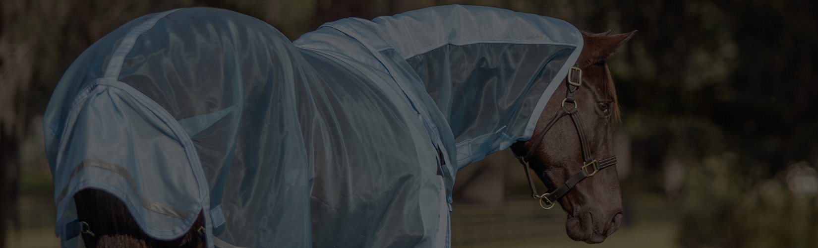 The Best Fly Sheets for Turnout