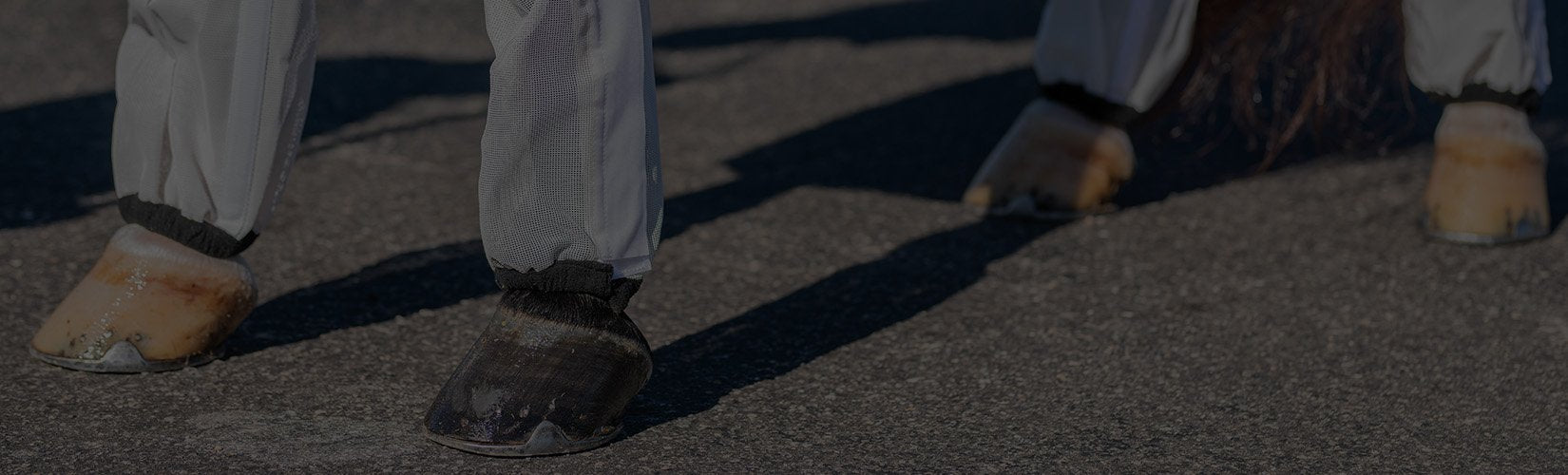 The Best Budget-Friendly Fly Boots