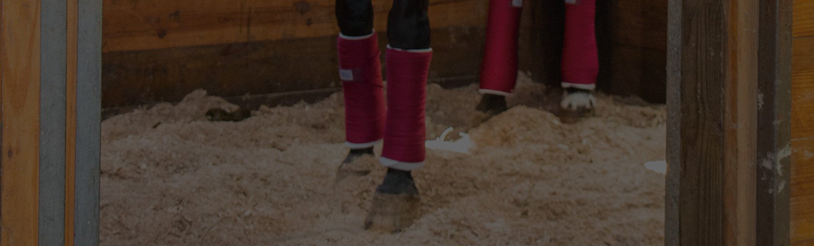 8 Must-Have Horse Leg Wraps for Every Horse Owner