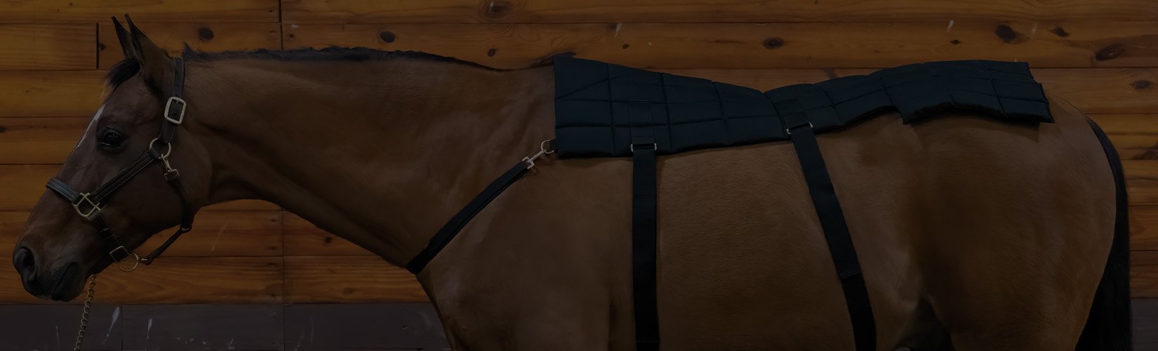 The 7 Best Cold Therapy Products for Horses