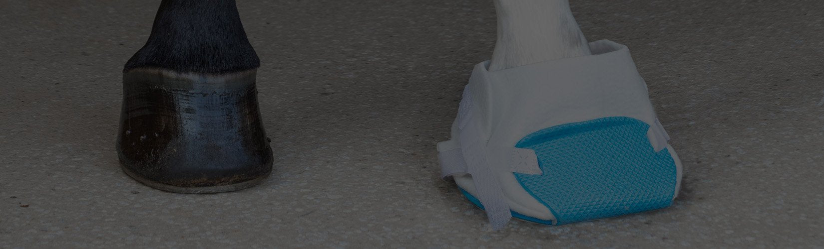 Your Guide to Horse Hoof Wraps