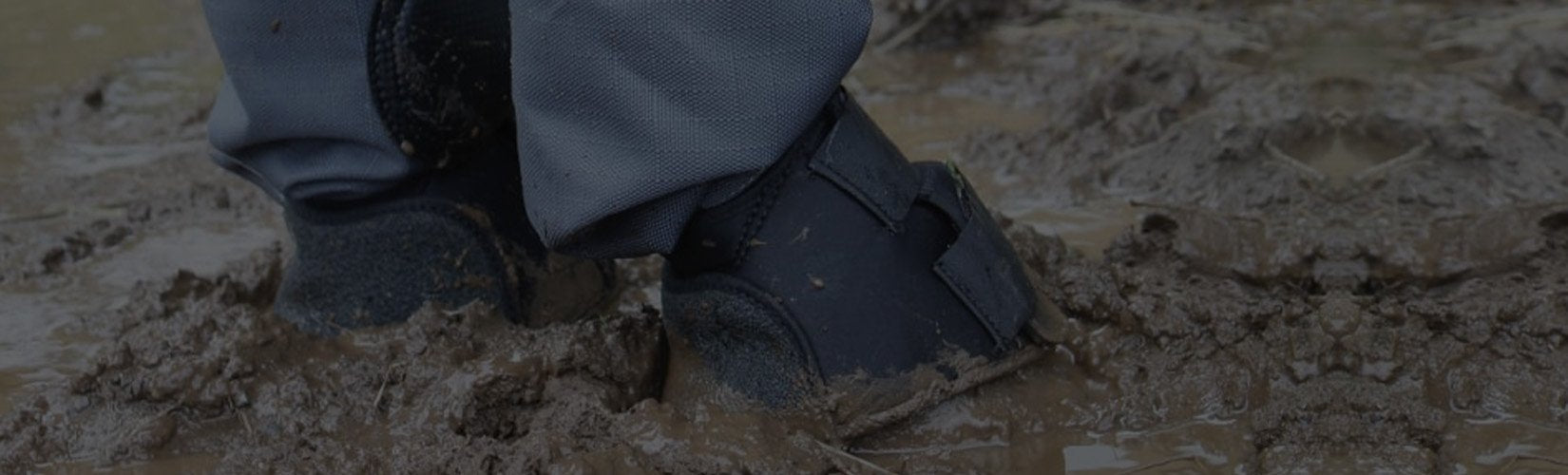Guide to Protecting Your Horse’s Legs During Turnout