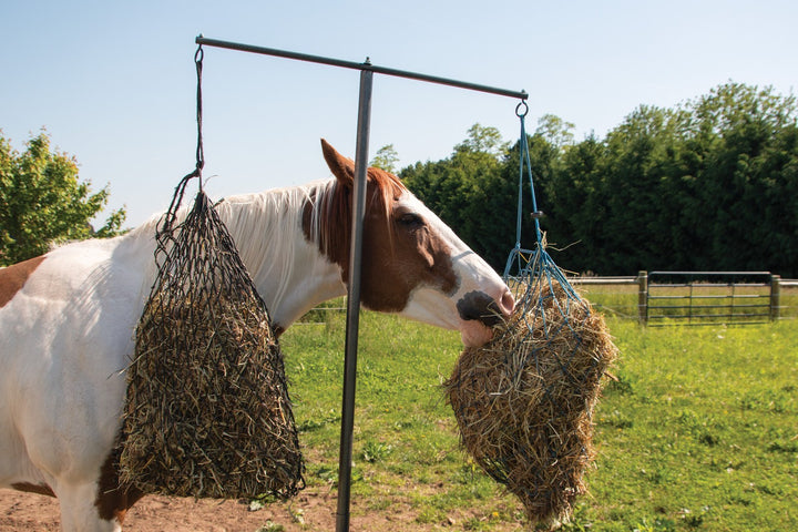 How Much Hay Per Horse Per Day?