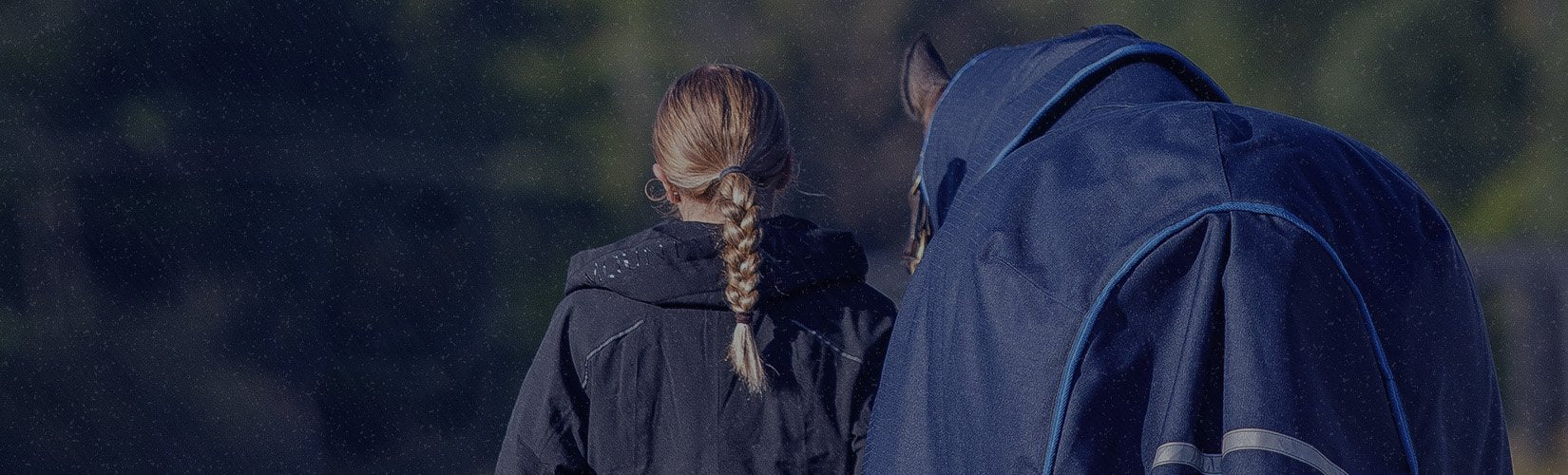 The 6 Best Rain Sheets to Keep Your Horse Dry