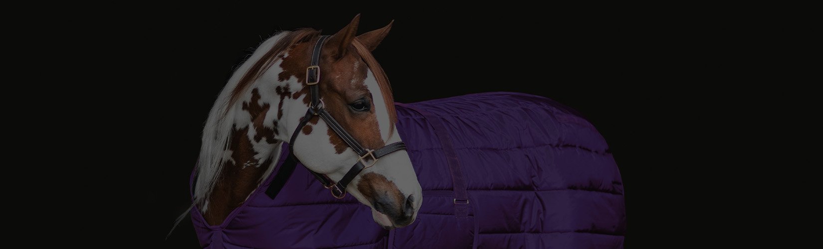 The 10 Best Stable Blankets and Sheets