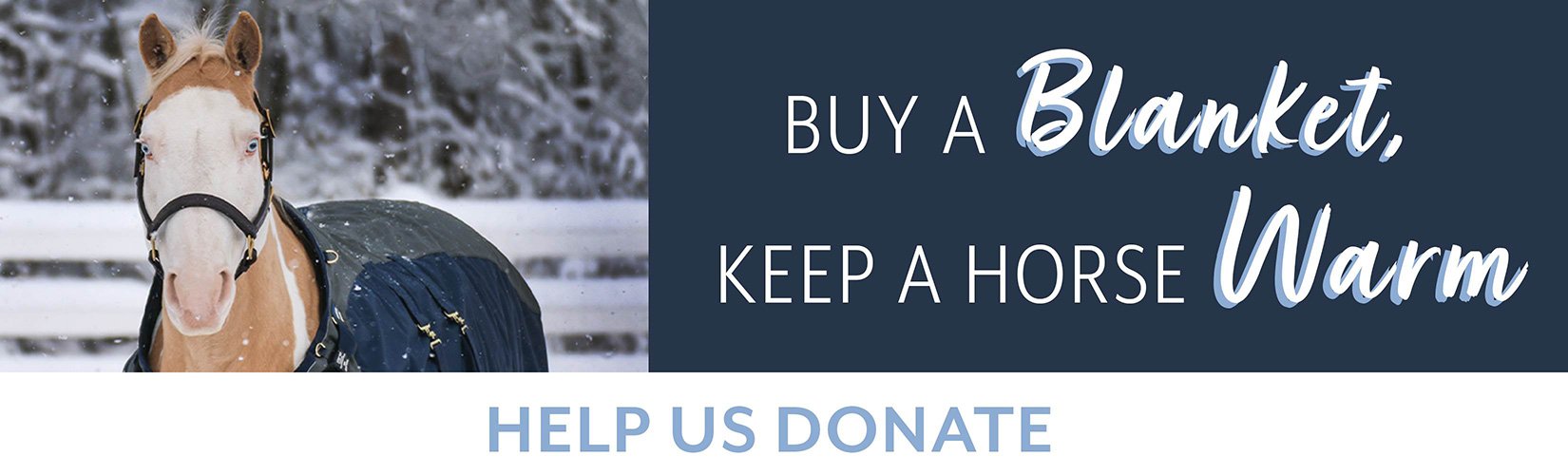 Buy a Blanket, Keep a Horse Warm