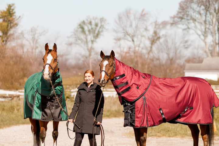 Is Last Year's Turnout Blanket Still Waterproof?