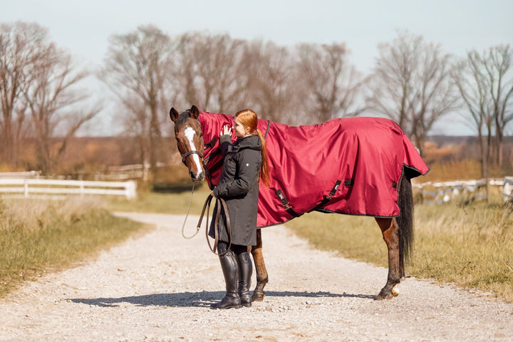 Does Last Year's Blanket Still Fit My Horse?