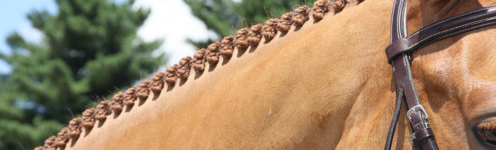 Tips and Tricks on Getting Ready for a Horse Show