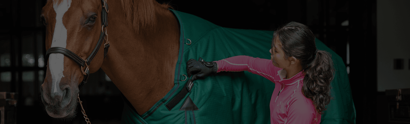 How to Know When to Blanket Your Horse - A Temperature Guide
