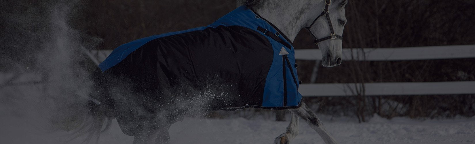 Is My Horse Too Cold? 7 Signs They Need a Blanket