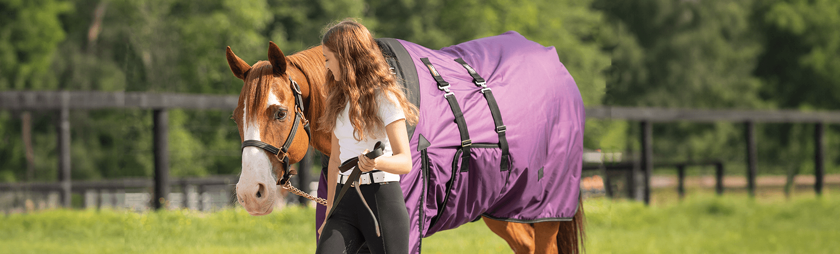 New and Improved Schneiders® Turnout Blankets