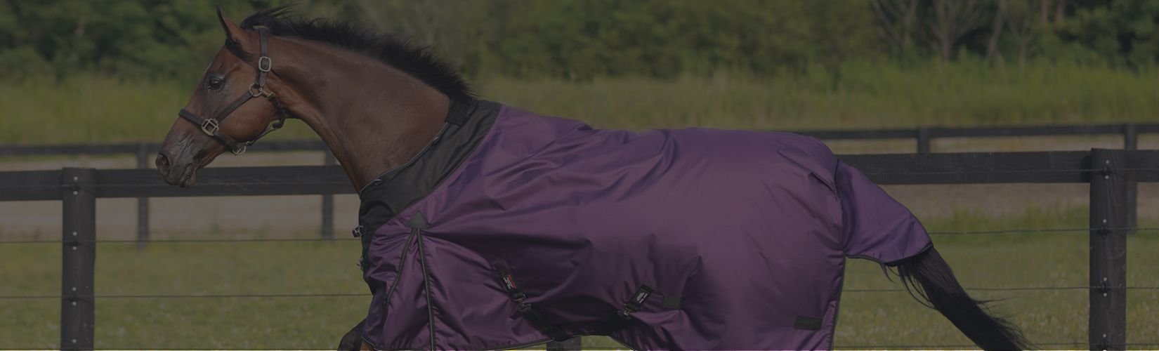 Horse Blanketing 101