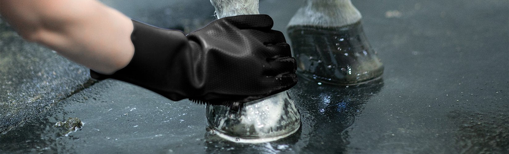 Winter Horse Grooming Tips