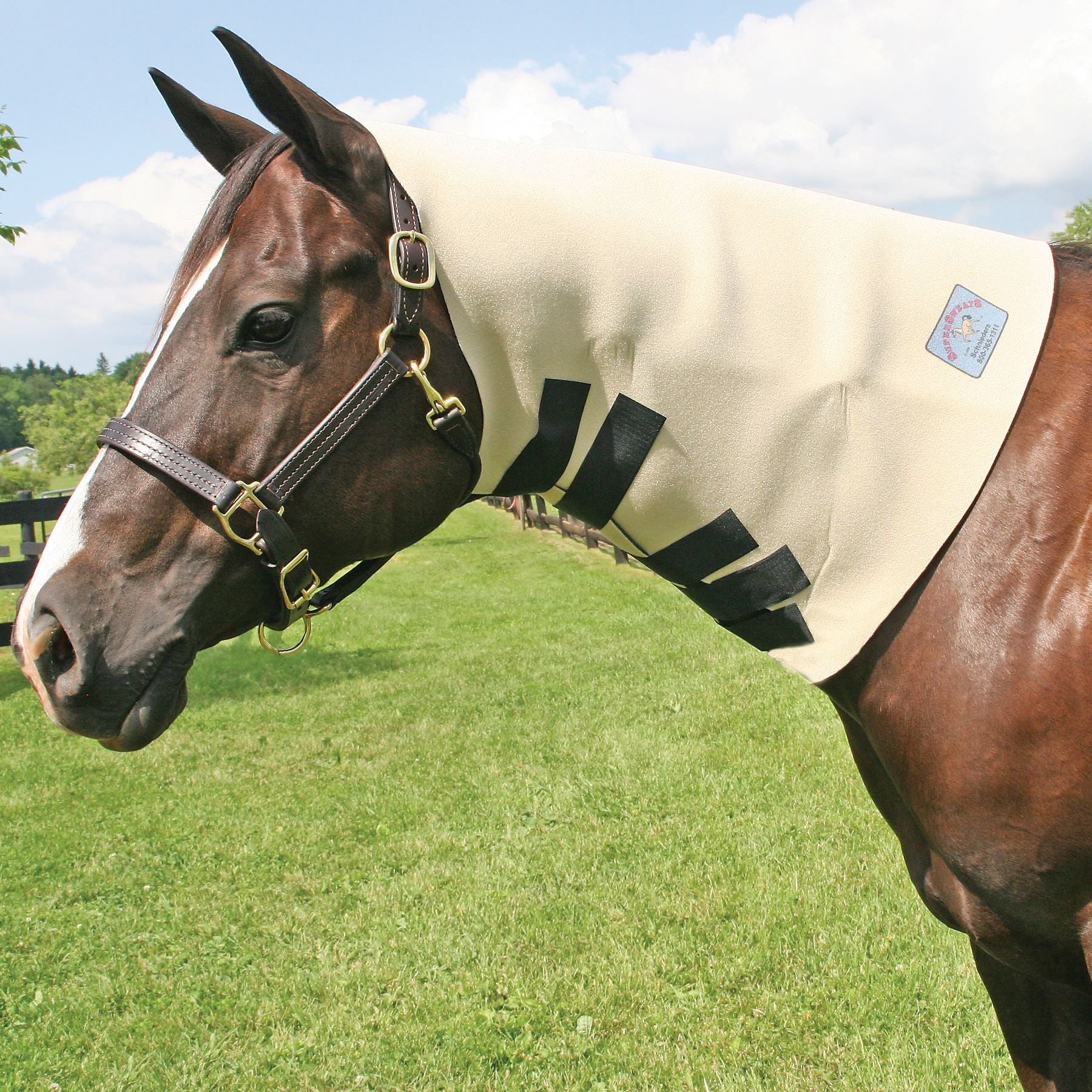 SuperSweats Neck Sweat Horse