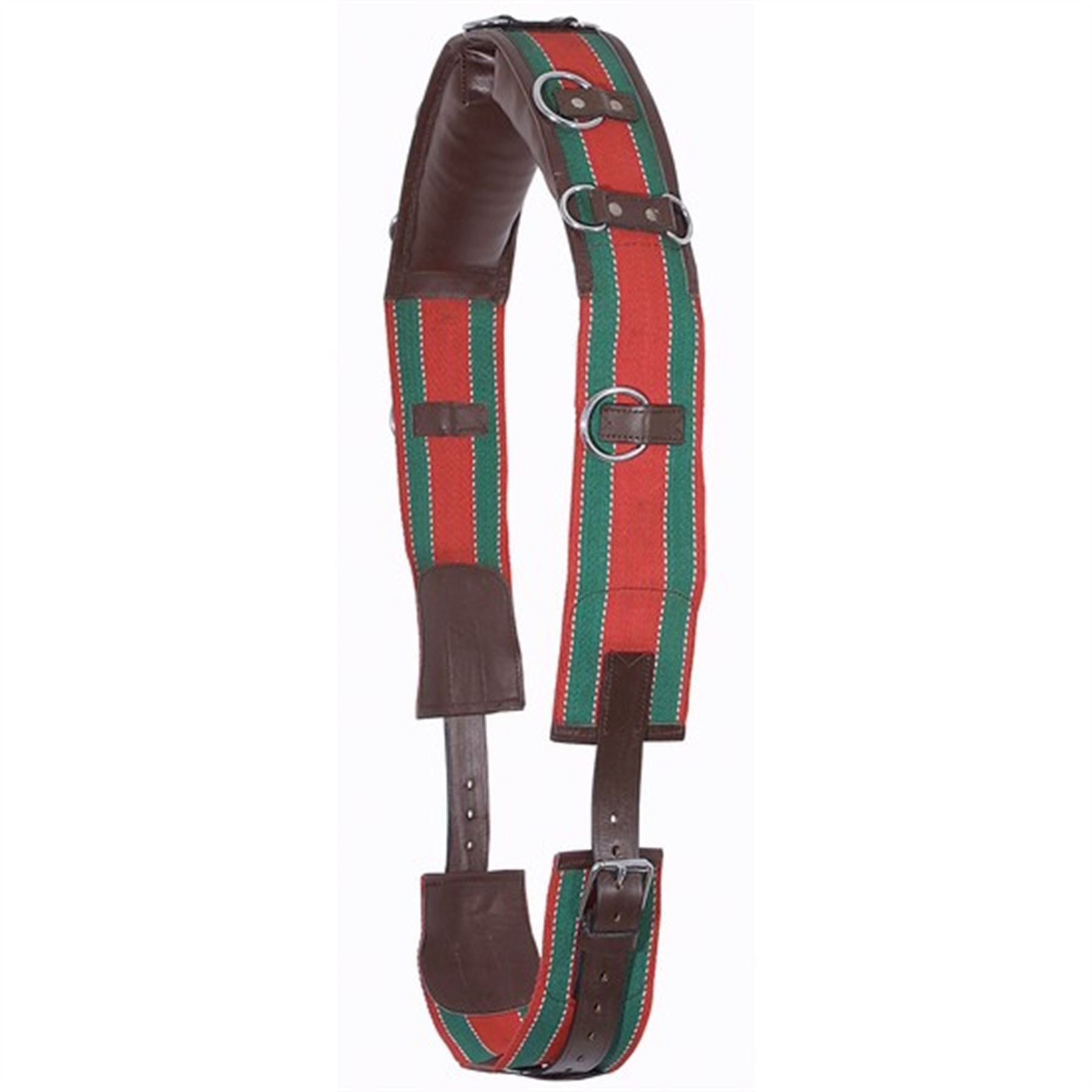Premier Web/Leather Training Surcingle