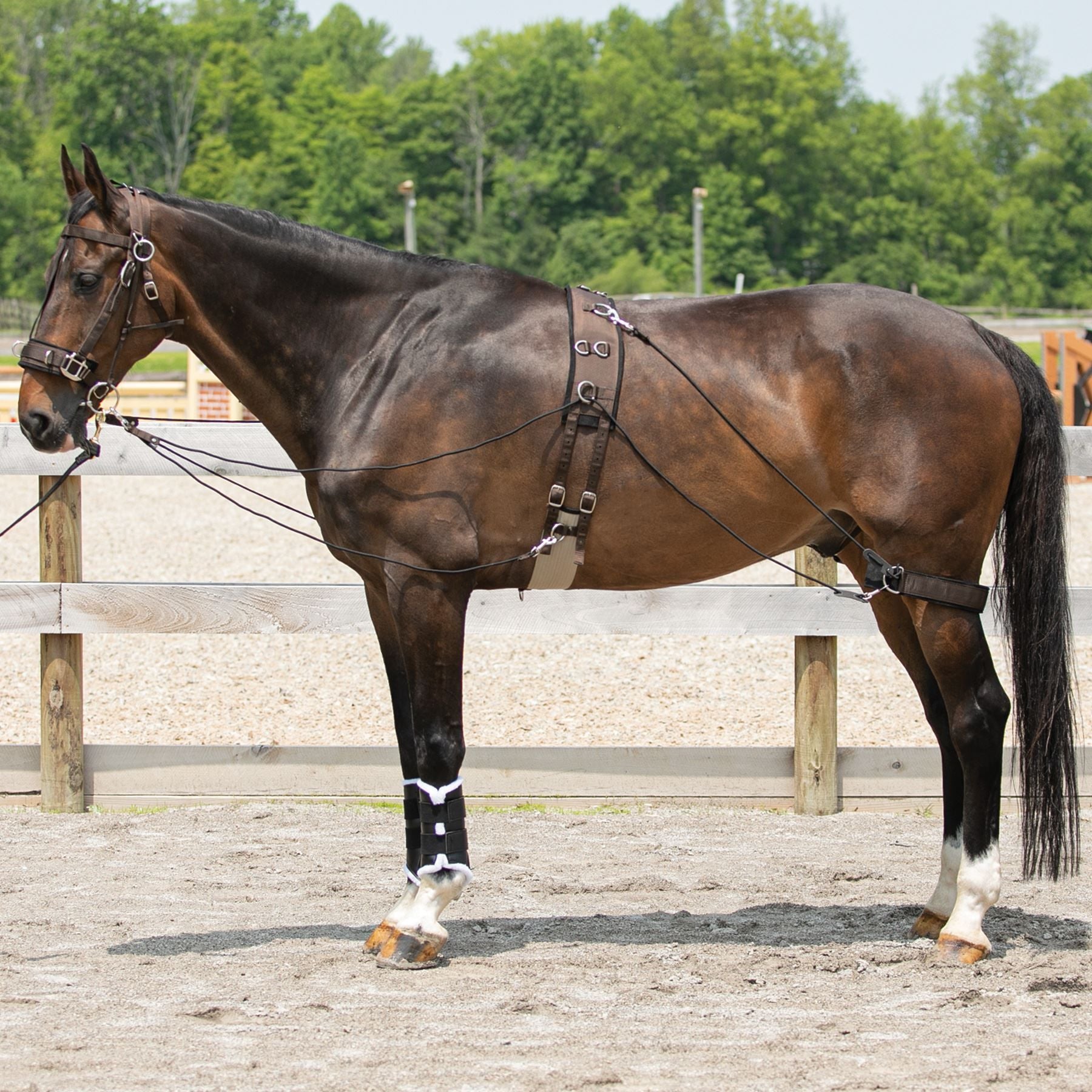 Dura-Tech® Balance Training System - Complete Set