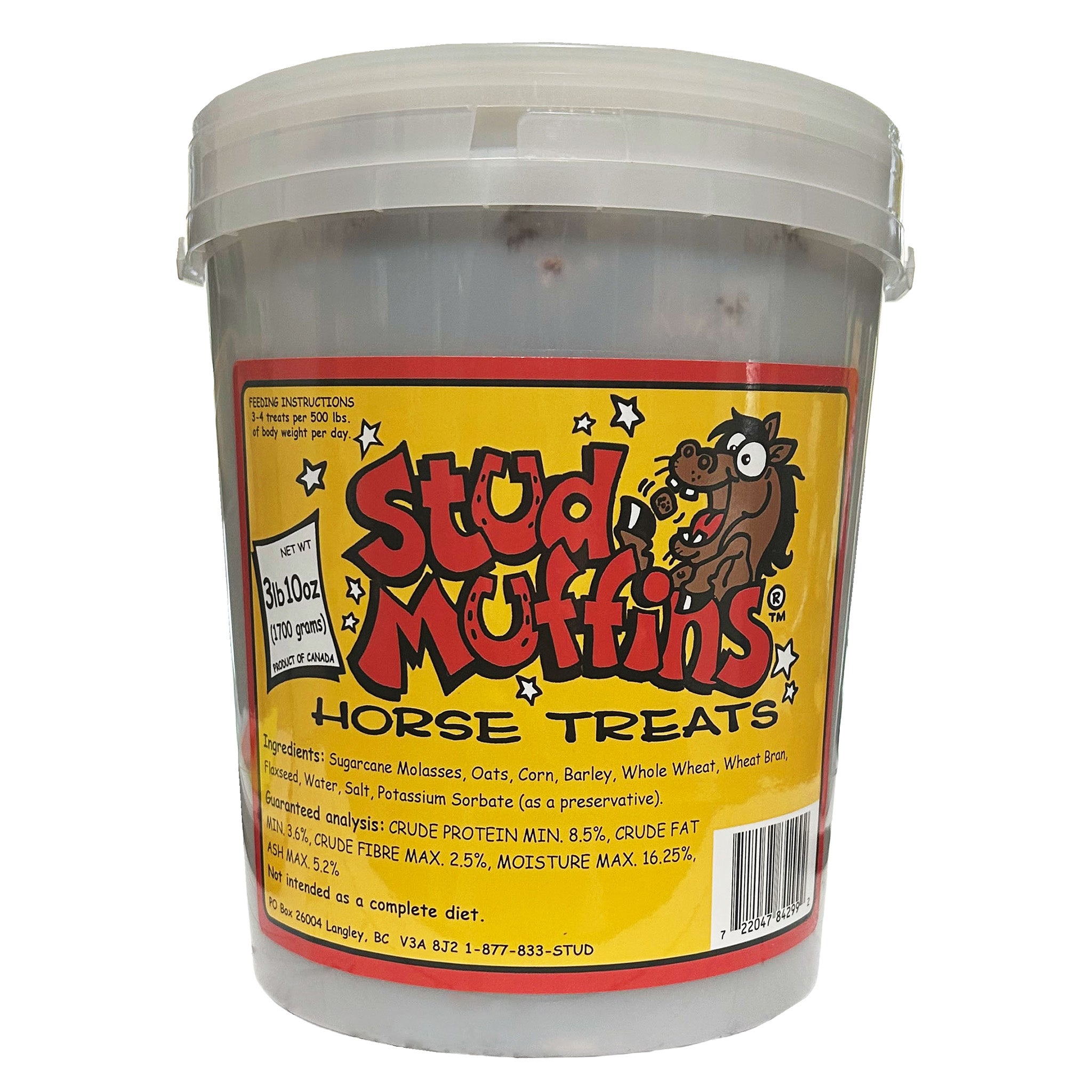 Stud Muffins Horse Treat Tub
