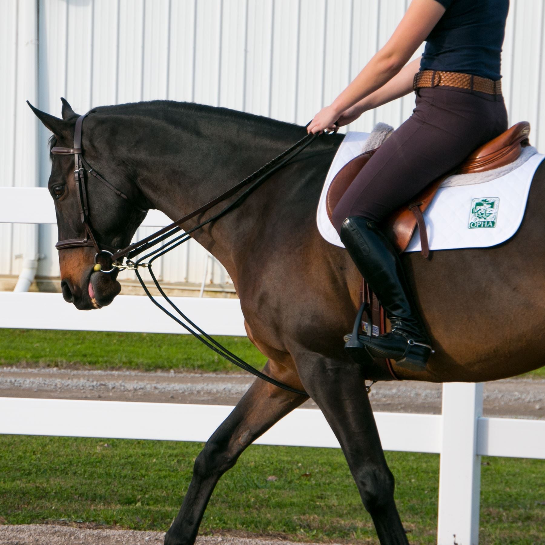 Dura-Tech® Sliding Snap Rope Draw Reins for Horses