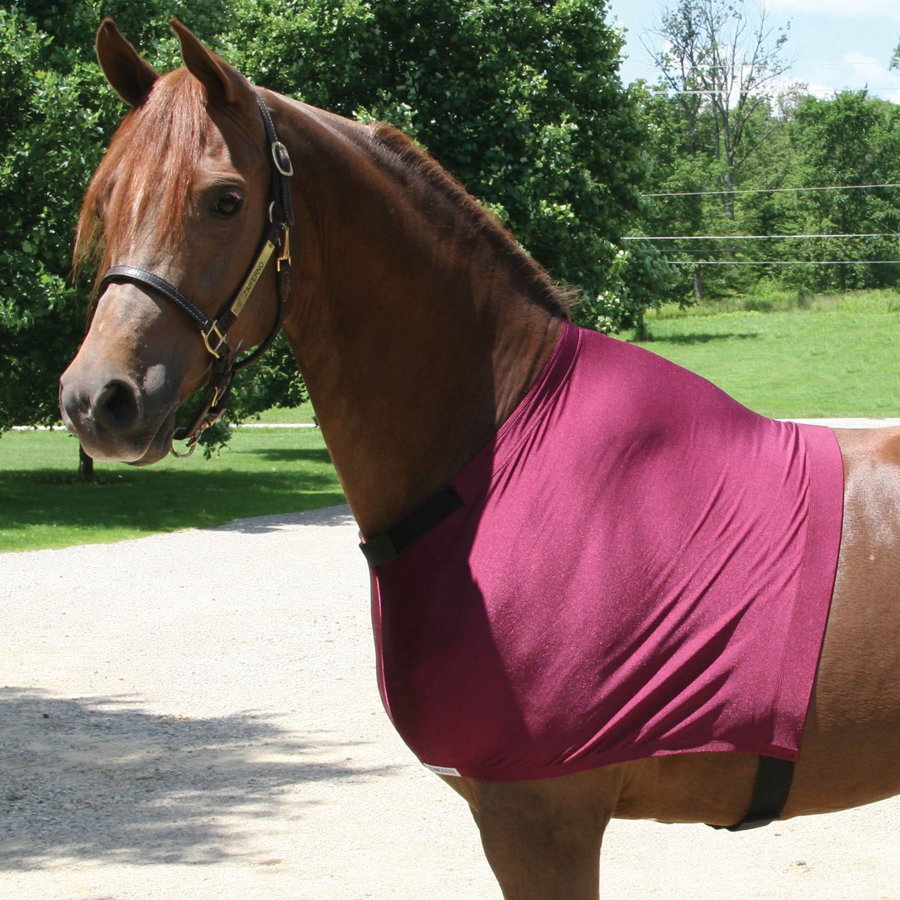 UltraFlex® Pull-On Shoulder Guard Slicker