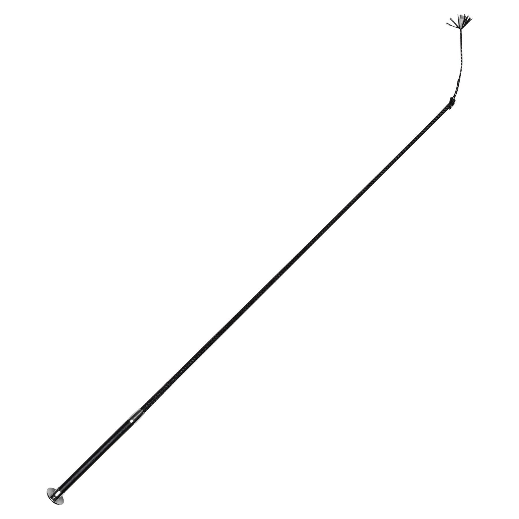 Wonder Whip Dressage Whip