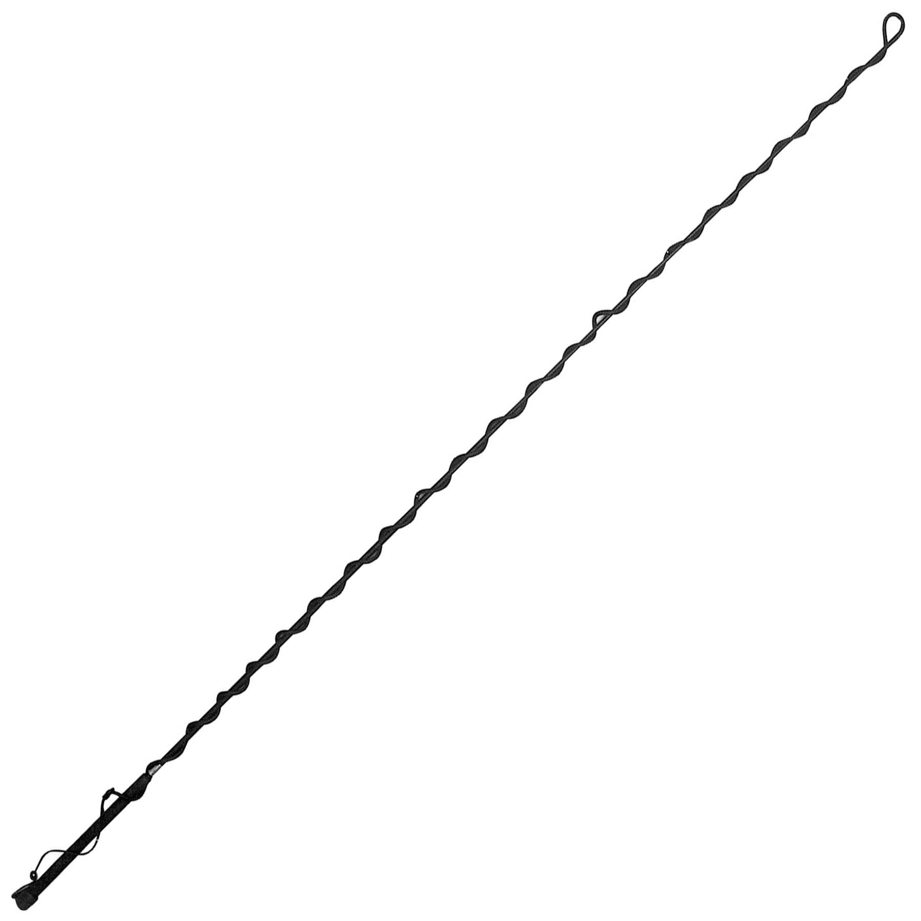Lunge Whip 5 1/2'