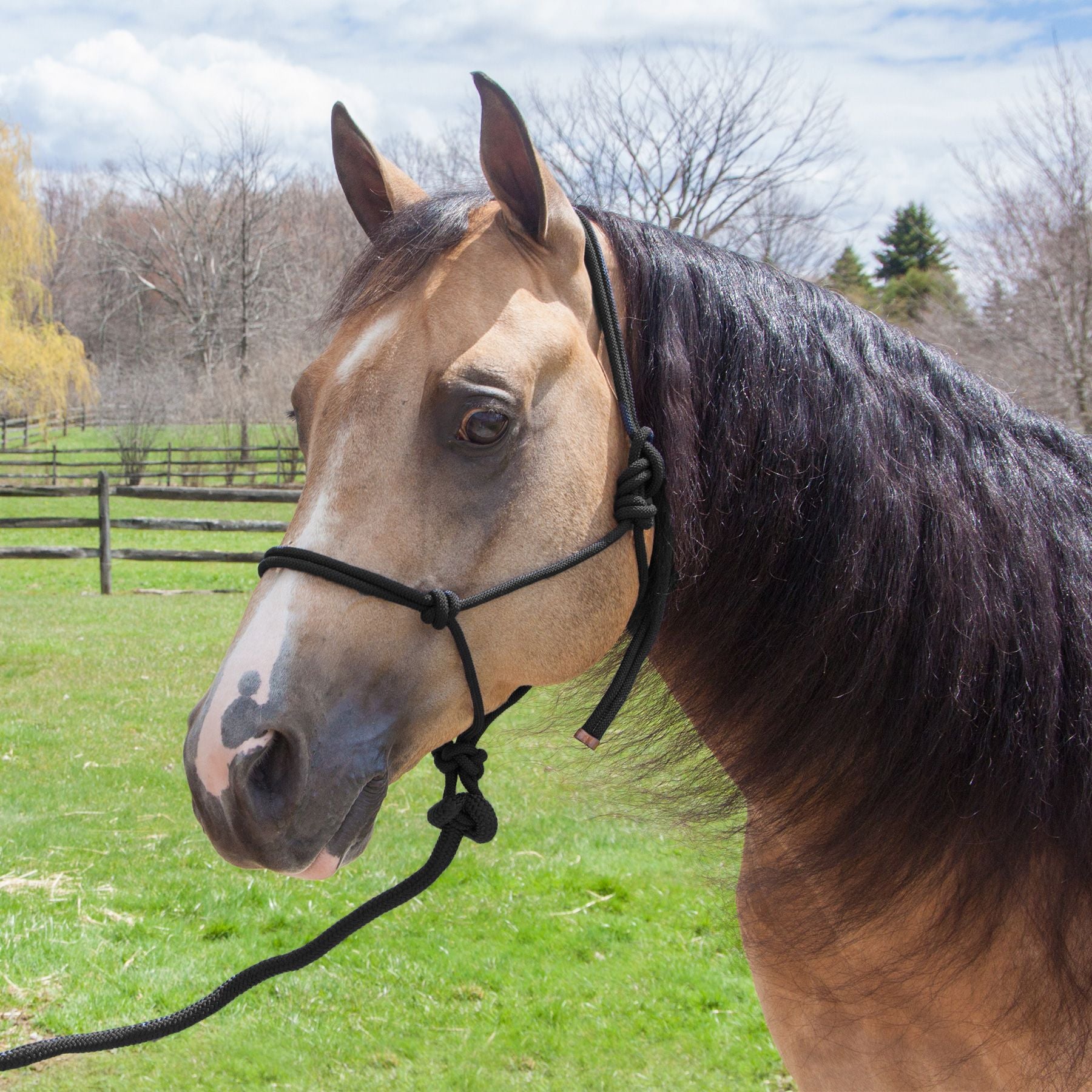 Dura-Tech® Rope Halter And Lead
