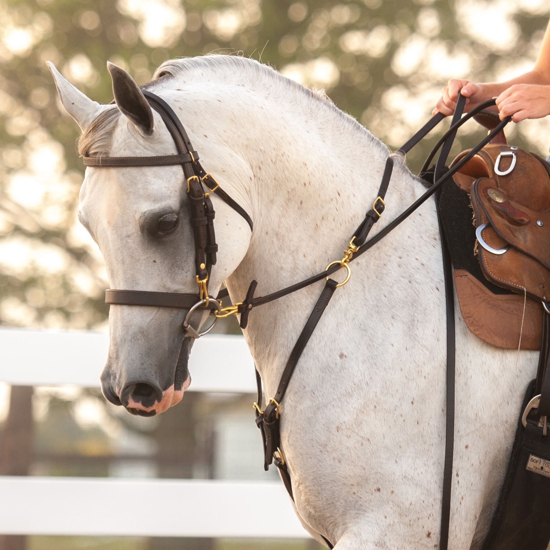 Victor Supreme Bob Hart Adjustable Arabian Training Martingale