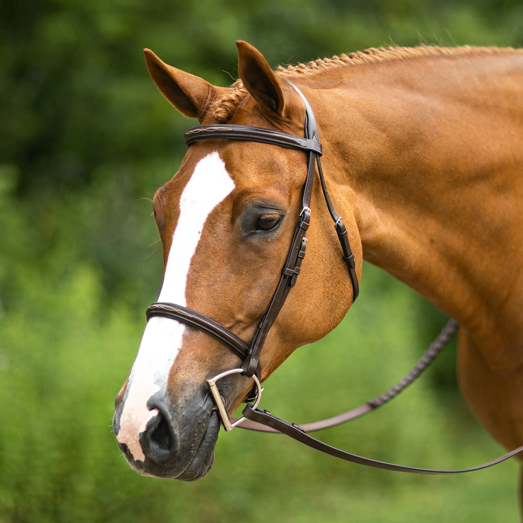 Joseph Sterling® Pro Series Hunter Classic Bridle w/XL Reins (64")