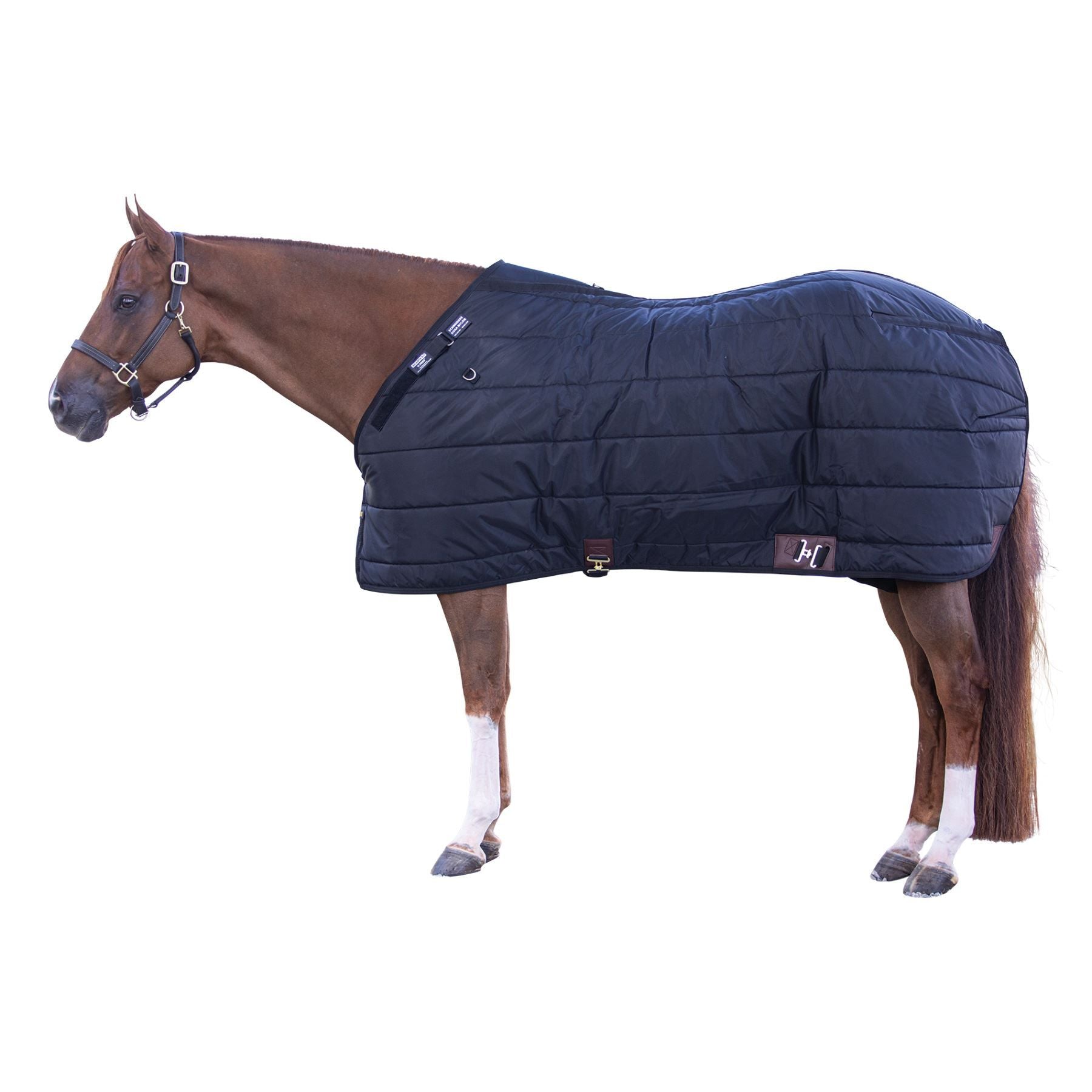 Schneiders® Dura-Nylon® Adjusta-Fit® V-Free® Closed Front Leg Strap Medium Weight Stable Blanket