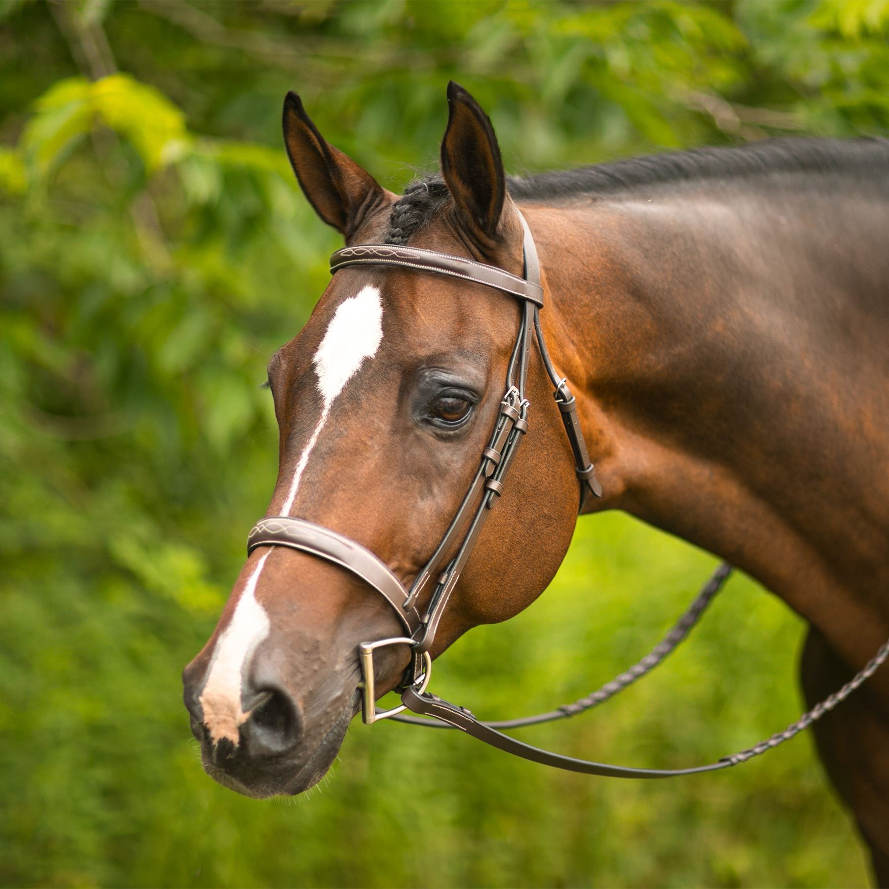 Pinnacle Hartford Hunter Bridle