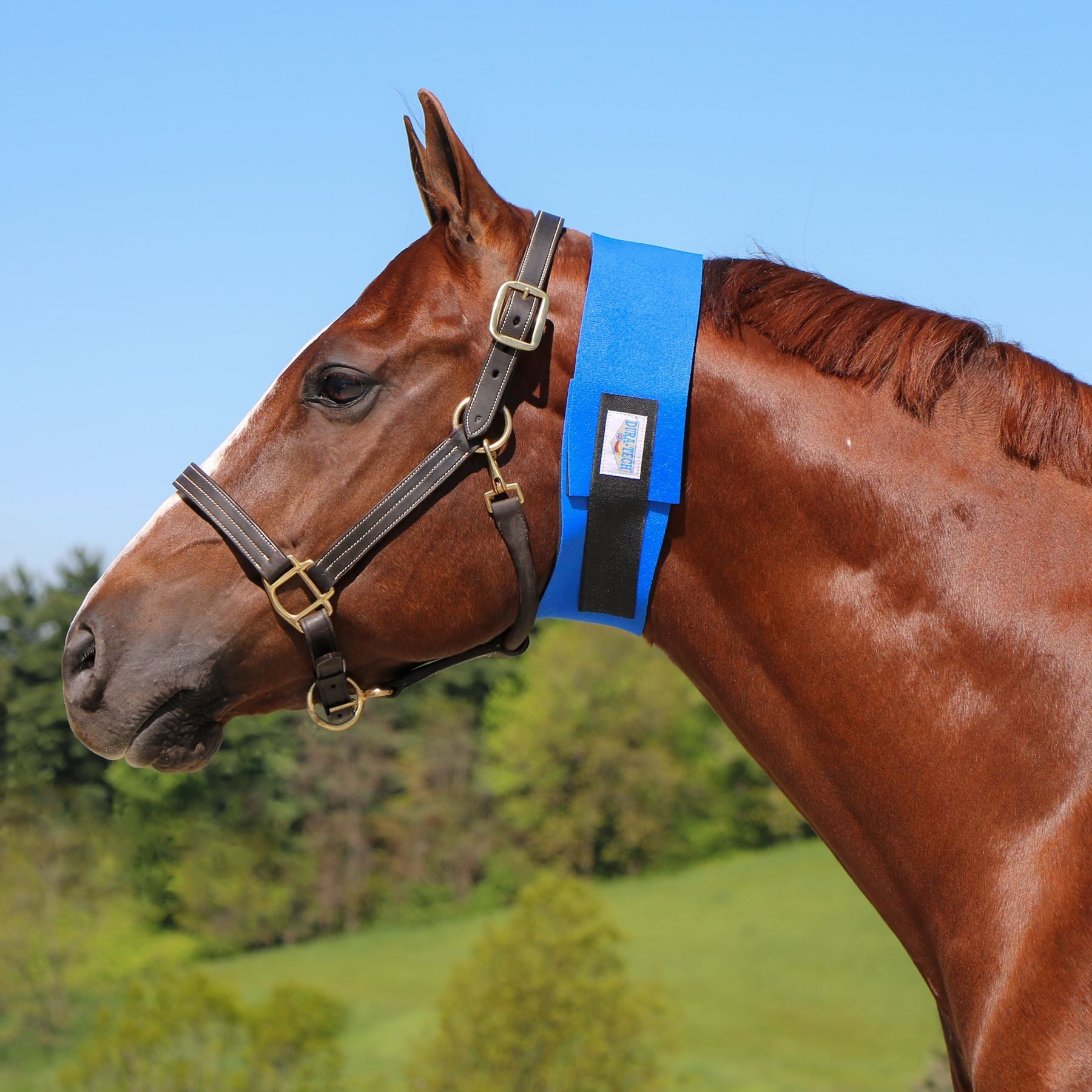 Dura-Tech® Superior Narrow Throat Sweat