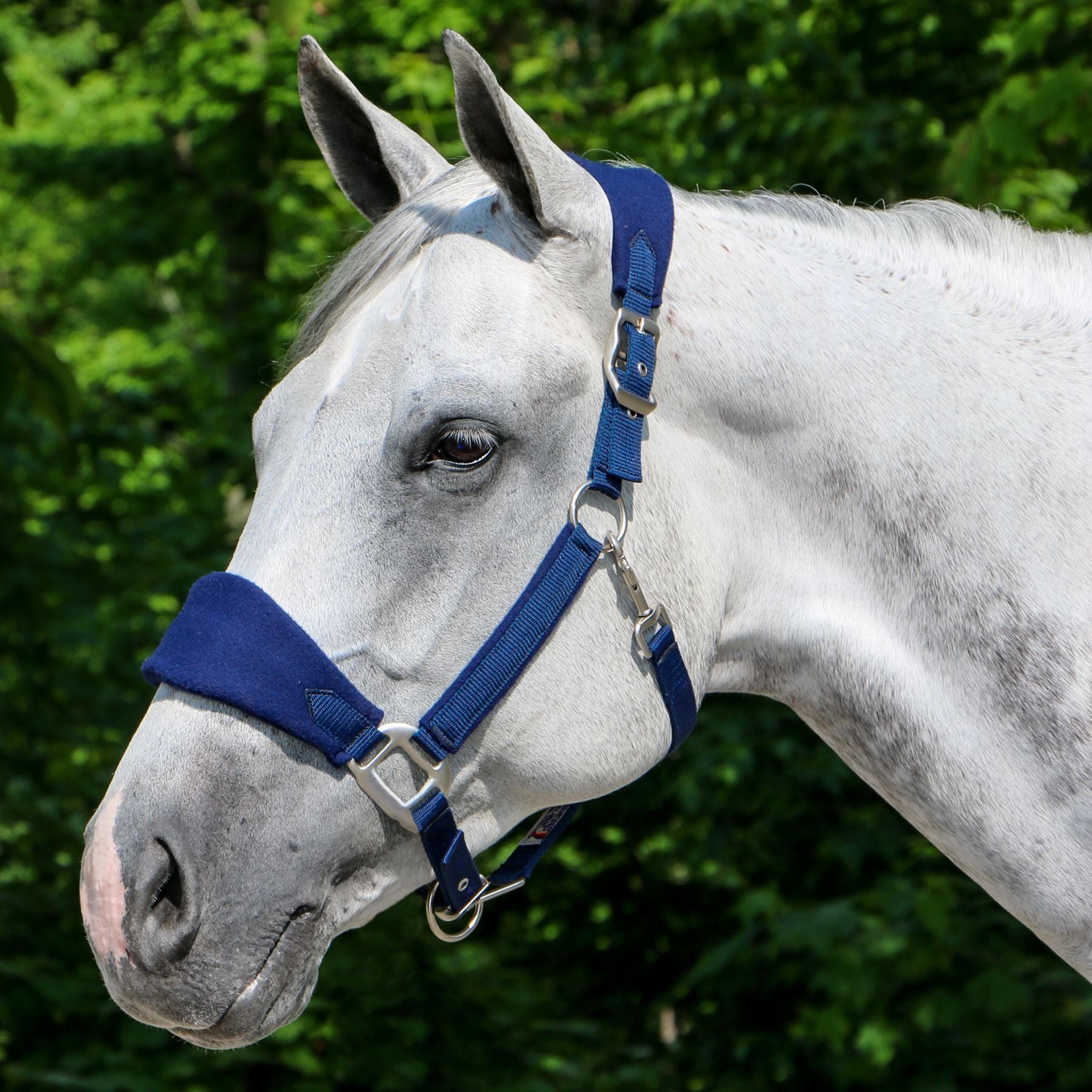 Dura-Tech® Fleece Lined Web Halter